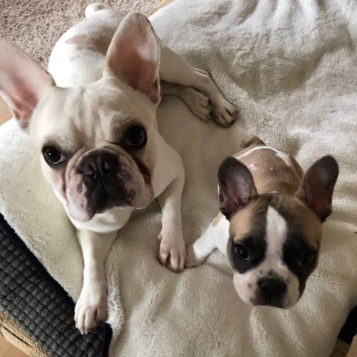 Cba93c25 7f70 4ec3 8a94 bac6bd94e5bb 1556464867390