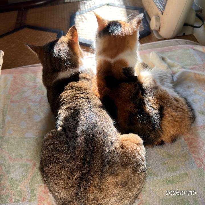 Cba93d2d 450a 4a54 9c8e 11351ed8c983 1768005726554