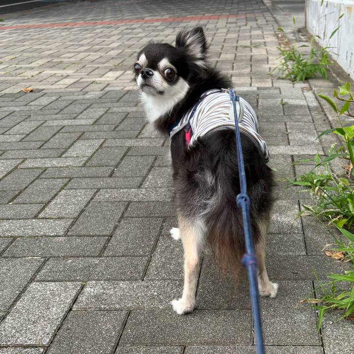 Cba94e20 95e1 4a52 a8bc baa40e3e442d 1721058480962