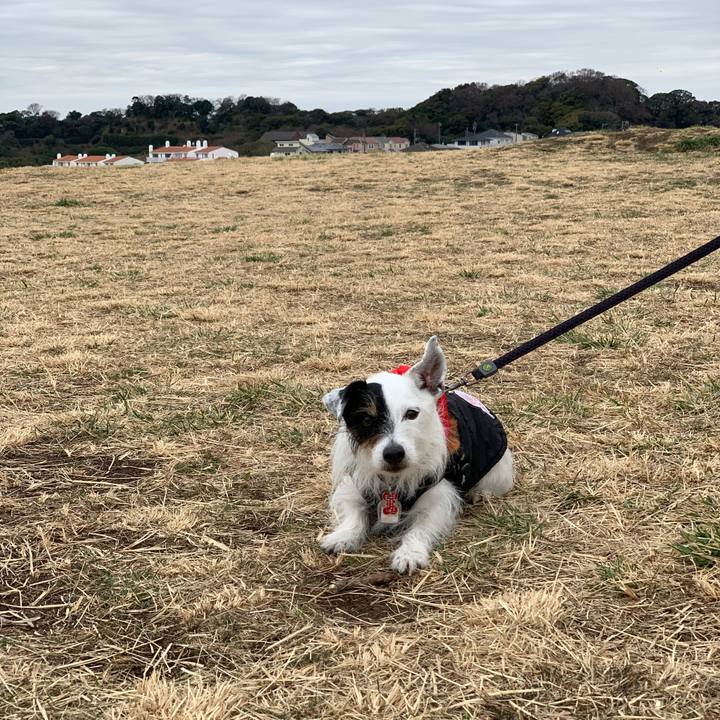 Cba95766 d182 42fd b081 7f5bcedfb6cc 1707095580968