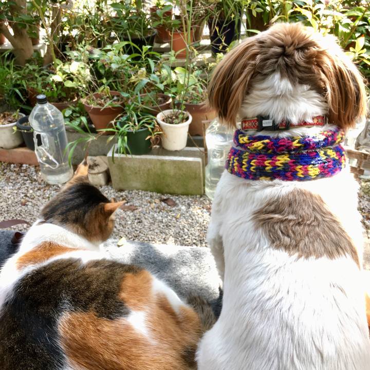 Cba98dec dec4 42c5 911e 61d740554623 1521338470752