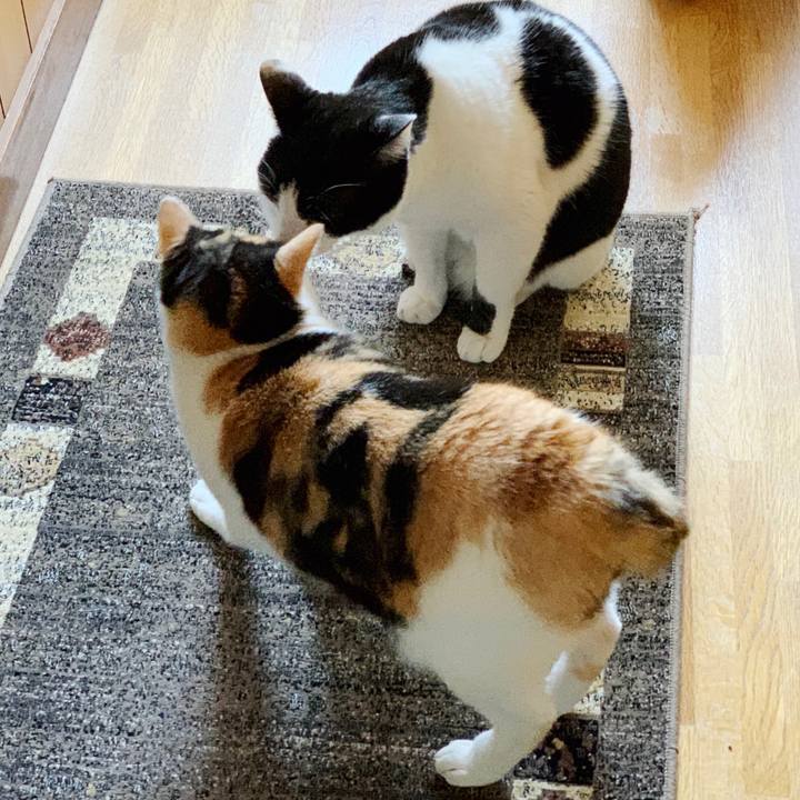 Cba9a8aa 6e8d 4b91 8b34 6fea52758407 1552788686372