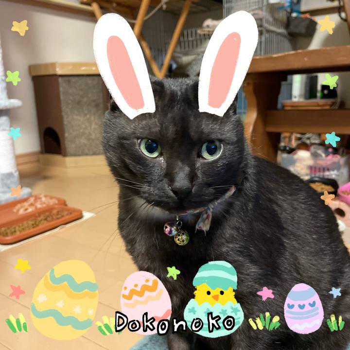 Cba9cc14 b476 42b8 adf7 6066bbe33549 1712577415061