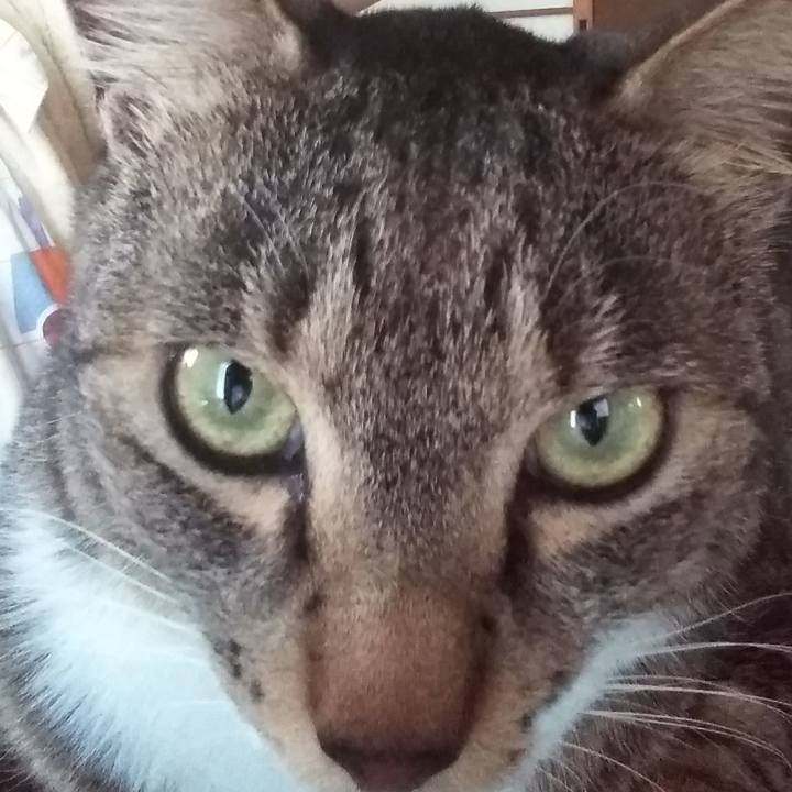 Cba9edcf 2a65 4b1e aa35 032d602f2de6 1613697450215