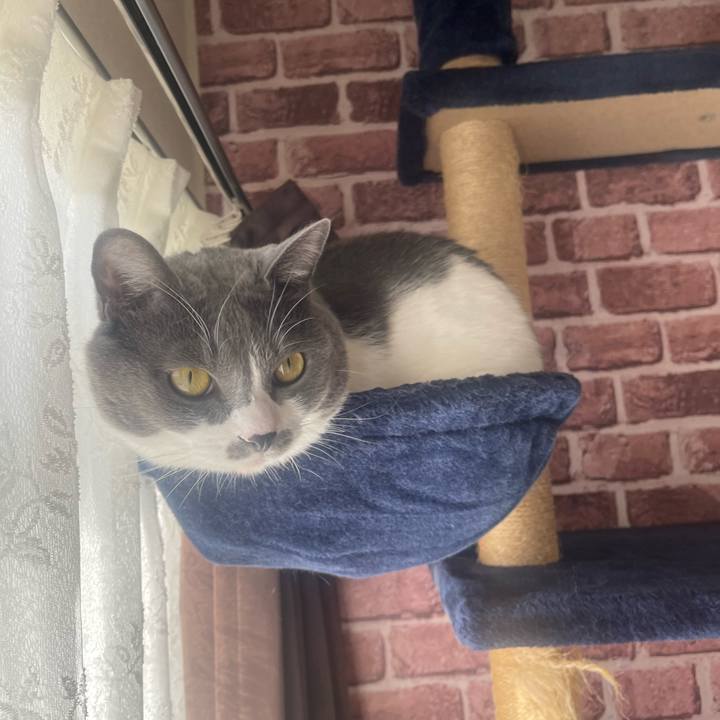 Cba9fbfb c880 4f5d a63b 1ac8d5e937ad 1699403211891