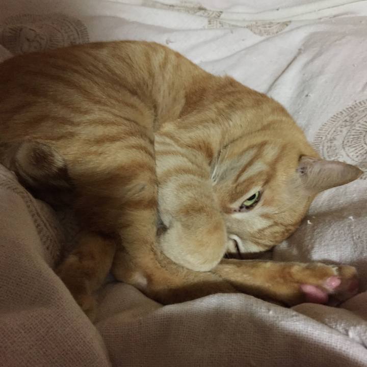 Cbaa05cf 3f97 473c 8edb 5d5b30138024 1536512269480