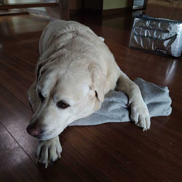 Cbaa20a5 9987 4eef 8e8c e3db3996048c 1788481993240