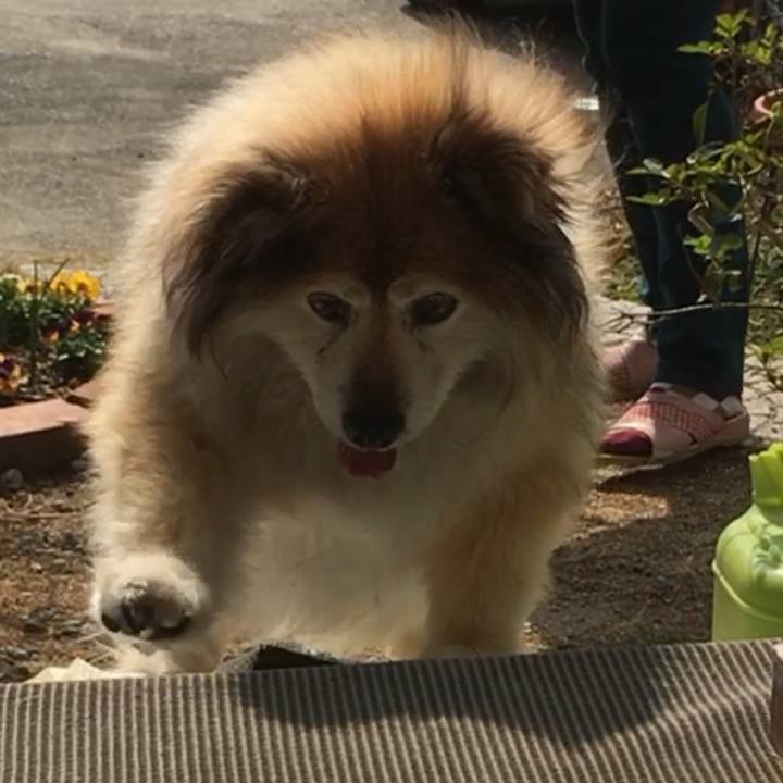 Cbaa5008 61cc 4d73 94c0 7efc3c70e4ee 1599122291663