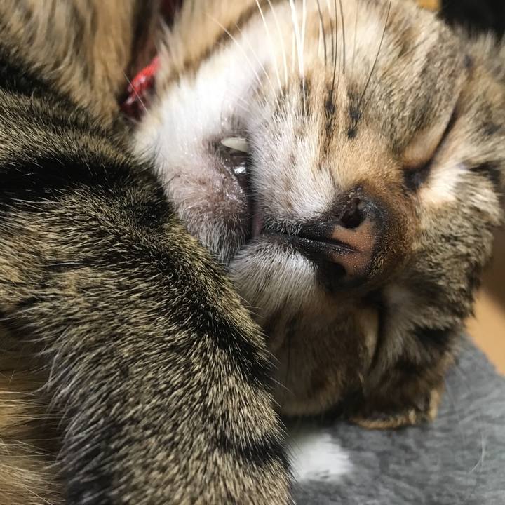 Cbaab37a 9914 400e a4f1 7408012f93c8 1545614882134