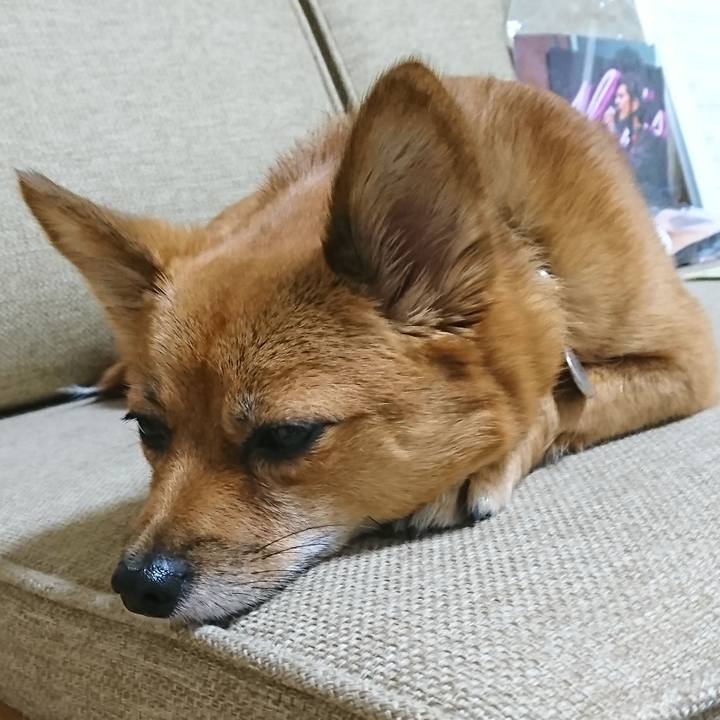 Cbaad1fa 8320 4dfc a9b5 bbebc578304d 1543060306273