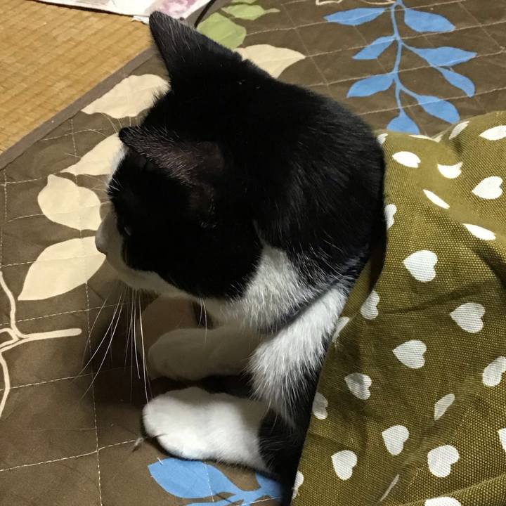 Cbaaec59 e141 43c0 83d1 800d621b18d5 1666437293780