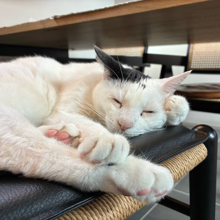 Cbaaf63f 15ba 4fbd 8ba9 af375d99e896 1760073900210