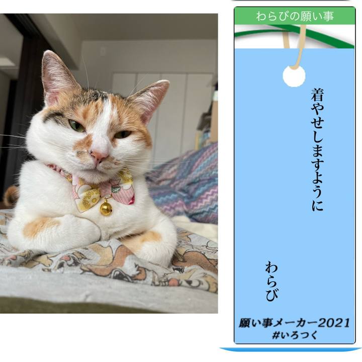 Cbaafc36 4a7f 4506 9cd8 800a1e9e6df2 1625665385062