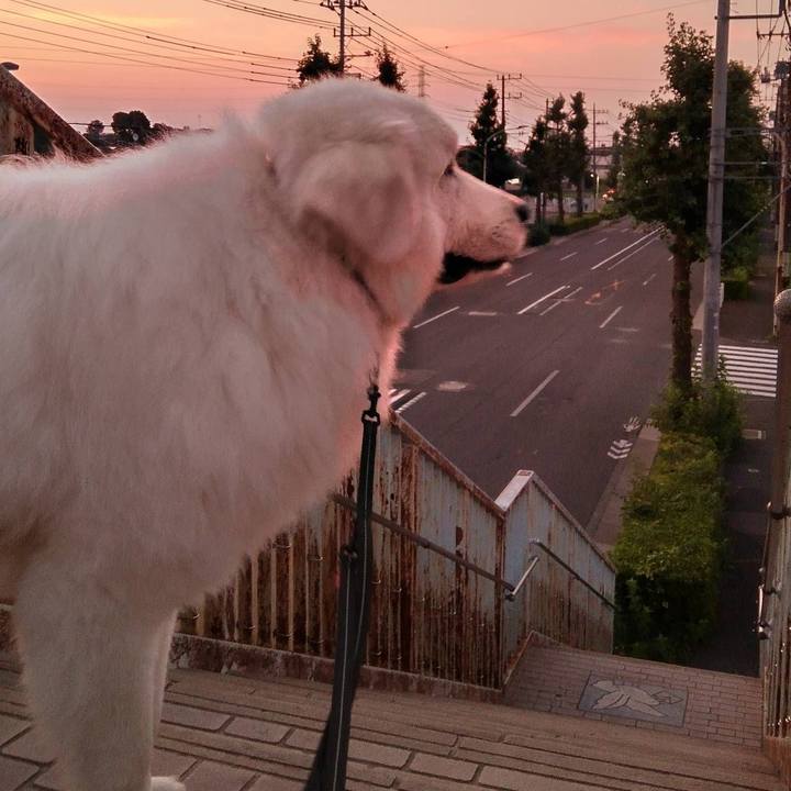 Cbaaff08 9250 4614 8b5e 76e43fd5e110 1690321532534