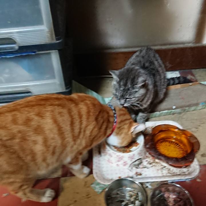 Cbab04a0 15fc 4bbd 82b4 facad6abf85c 1569551070242