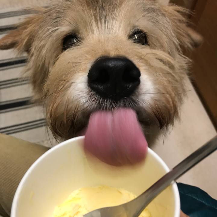 Cbab0cc7 d5e0 4daa aa57 1ca3bfe12191 1608970986130