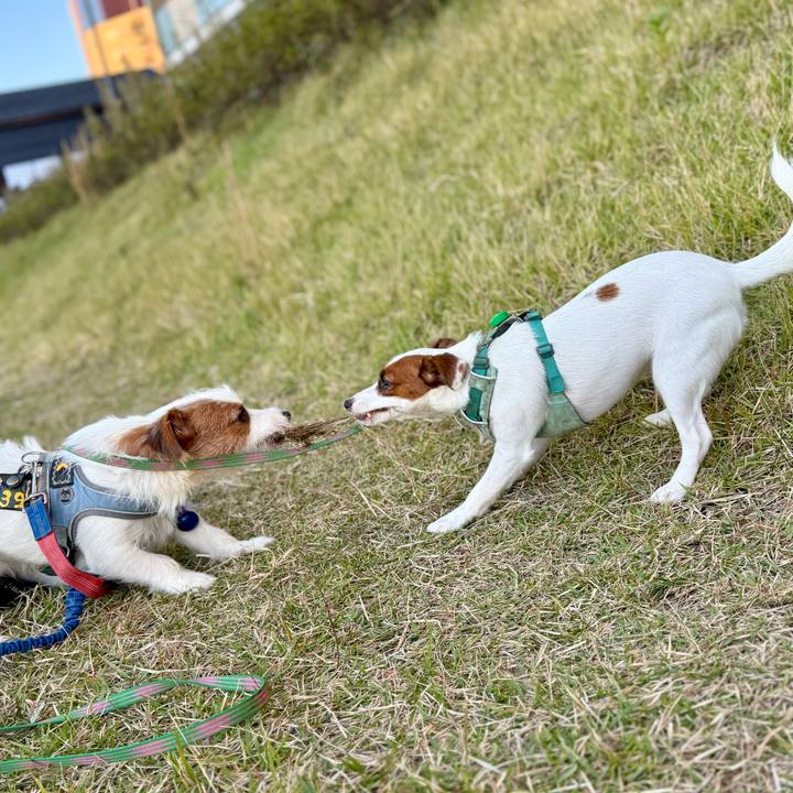 Cbab22d1 ec3a 4e6d 87a0 c02832a4205e 1762244067908