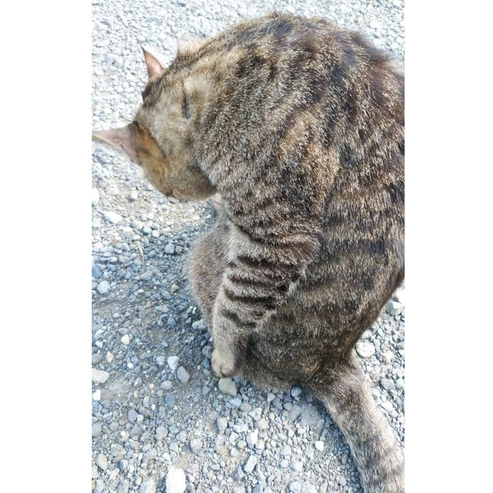 Cbab23f6 716e 4778 8b3f a396e61b17be 1624320795033