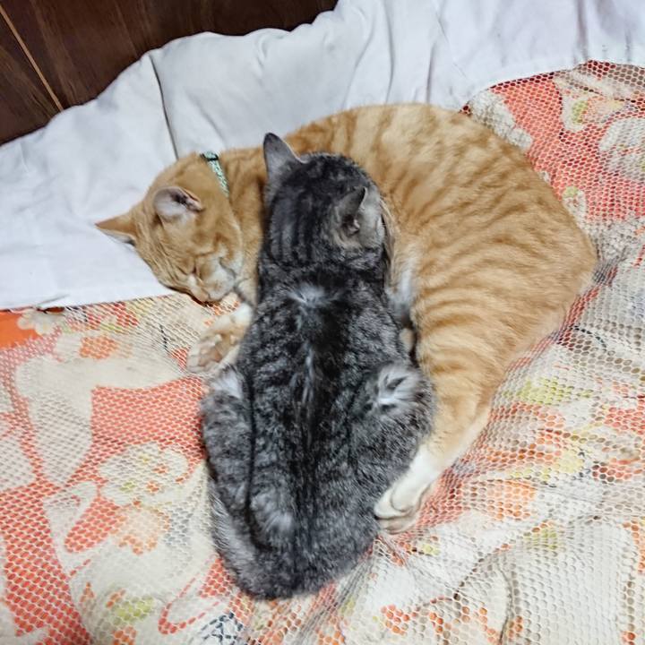 Cbab273d 8109 4891 93b2 f260d8b219a6 1584795414081