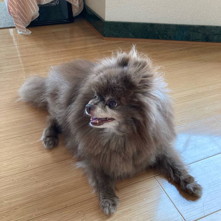 Cbabbb41 24d7 490d 8c7f 8c1244332aa5 1721854234783