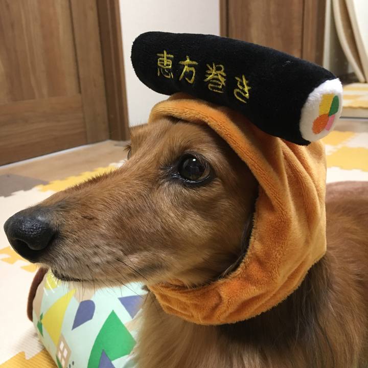 Cbabce12 f811 4b44 9dd9 97f595a86c4f 1549191248454