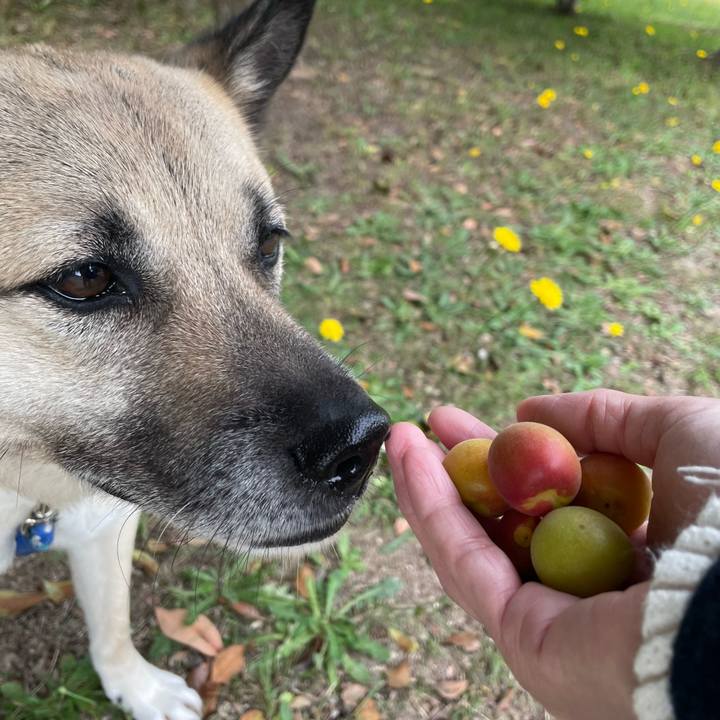 Cbabf18d 0055 4f80 a766 5cc94c96356f 1653739402978