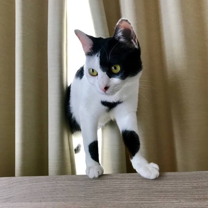 Cbac46bc aa1e 4f58 b0fb c8c901002882 1520846484163