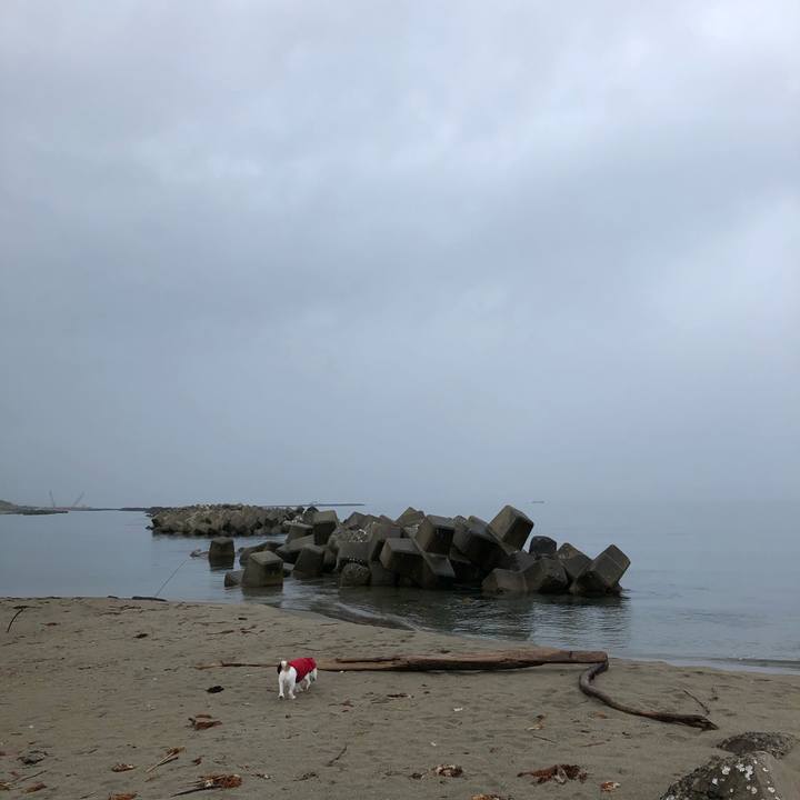 Cbac94a1 642d 49c6 b95c aa2458ab02e8 1593559882255