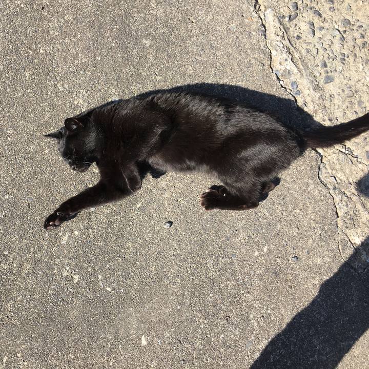 Cbaccda5 9ca6 4da5 b46d 24af551eee1a 1523870831441