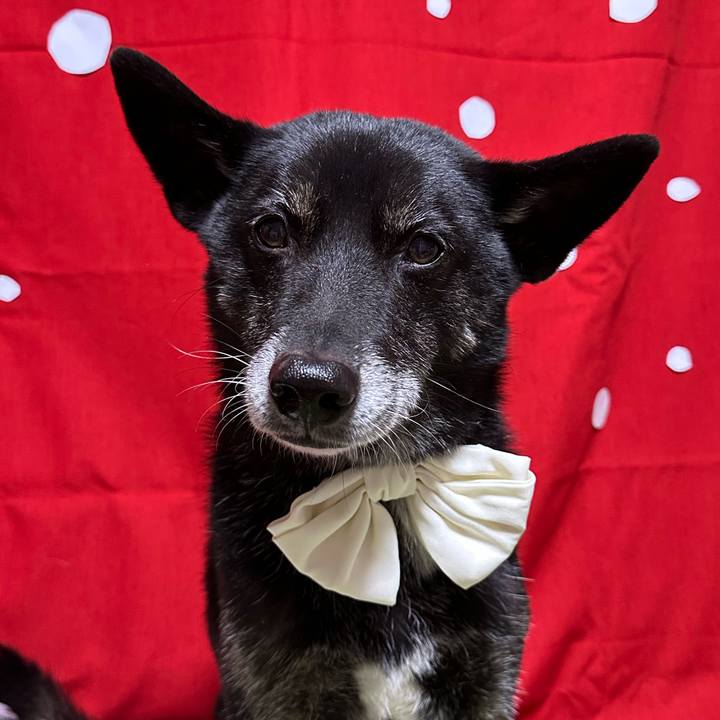 Cbacd65e 140e 4d73 afea 2b0e21f90ed8 1766840663911