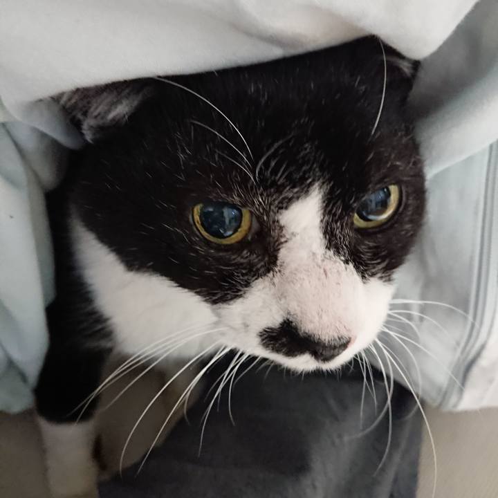 Cbacdcad dfd7 4470 a785 498f0b099170 1670711697929