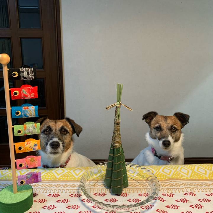 Cbad1d3d 7b7d 45f3 8940 106f07067fc5 1620217946166