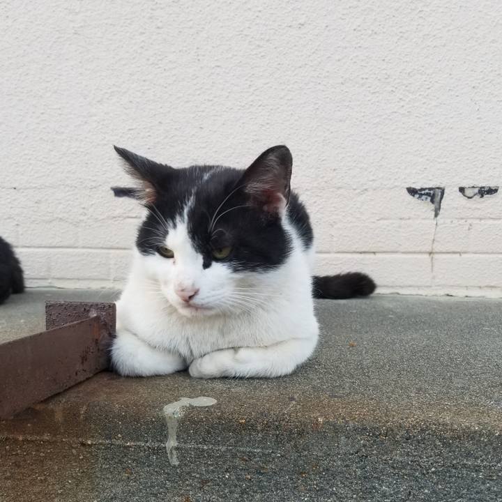 Cbad59db 9a40 4aa0 8f2c b286891cd1d5 1588429977060