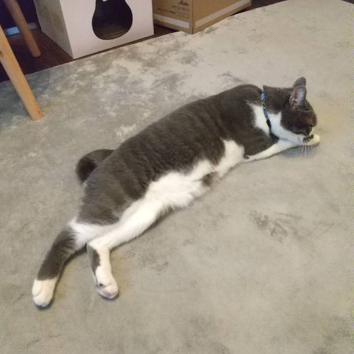 Cbad60ba 3536 409d 981c 7a690e51f1fd 1601849805717