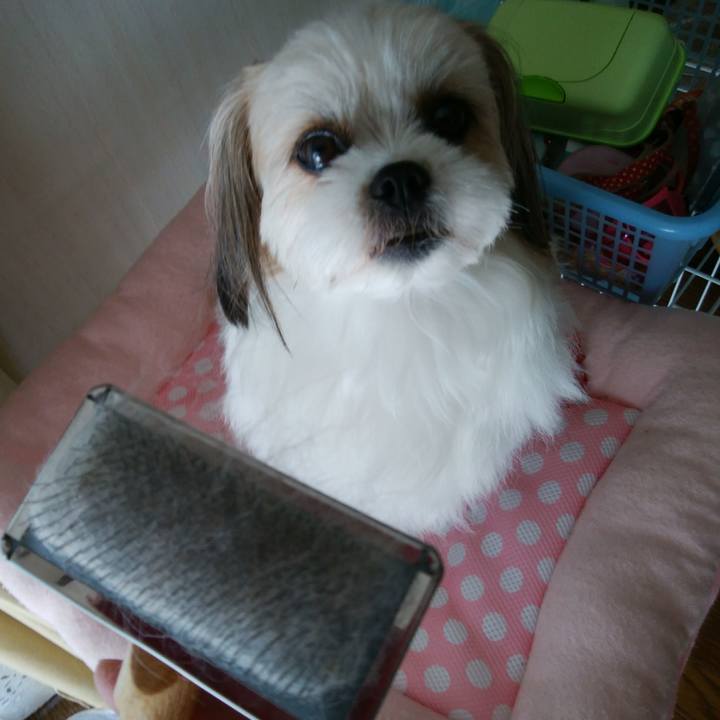 Cbad6a72 f75d 40bd 91d6 ffcdebaabd92 1526945597060