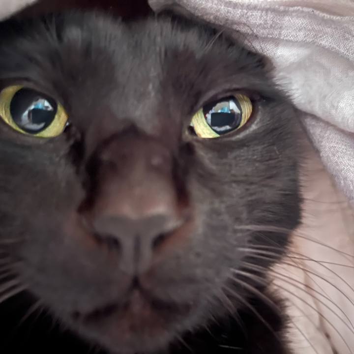 Cbad7719 72bc 4d87 a8e8 373e09319fbf 1738109856816