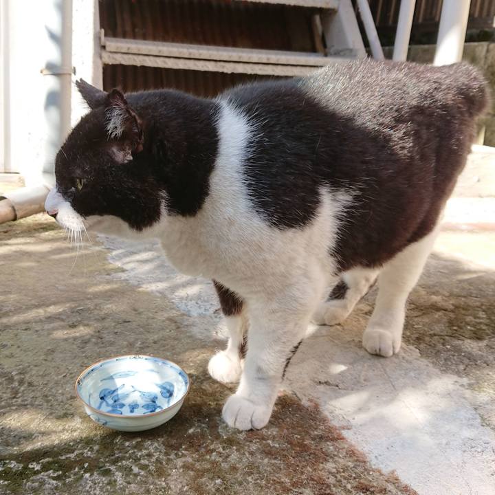 Cbad78ac fcff 4f77 b32e f79558e3a334 1627167959828