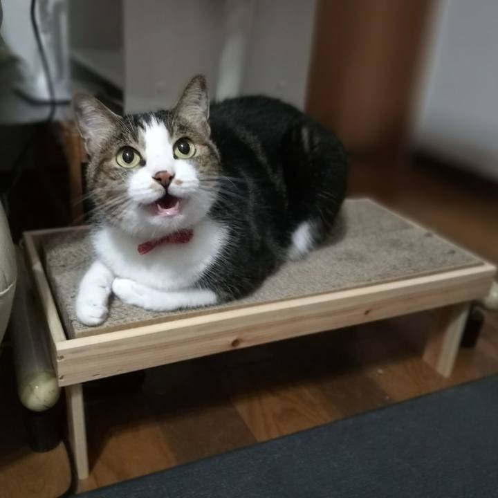 Cbad9ae8 f813 46e0 b69a fda5f8815928 1535887150263