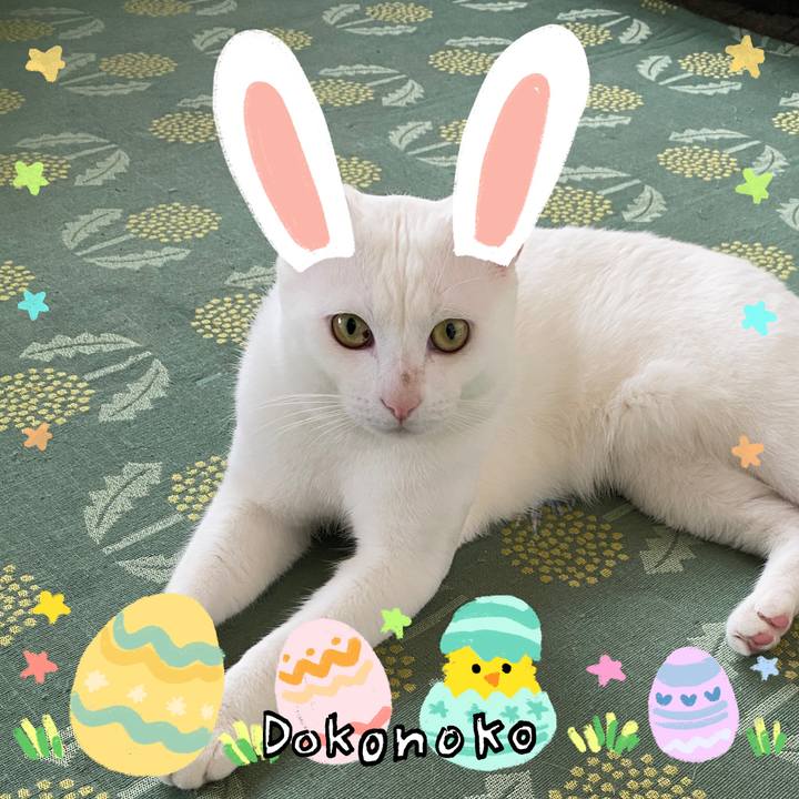 Cbae0947 fe00 4e88 9a7d ba81e8a7664f 1712766739161