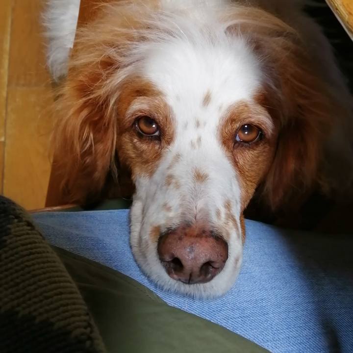 Cbae3aa7 a1cf 4d3a ac9b 6972296171a3 1620819868622