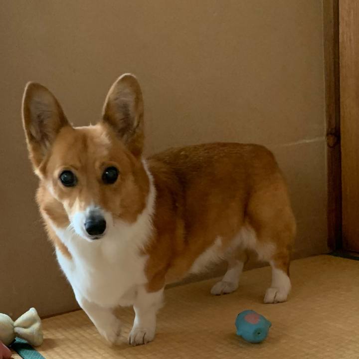 Cbae43da 0777 43eb 896e fe7280771c5f 1652754150574