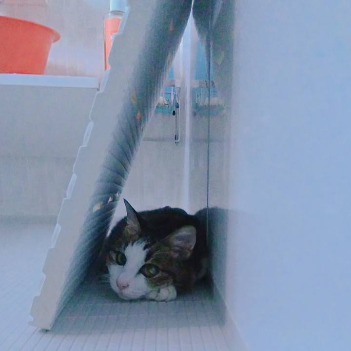 Cbae4e14 c9a5 425e 806d 29d77118a781 1532950986633