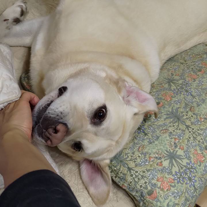 Cbae5160 34d3 4647 bc12 9381ca6a31da 1685330496844