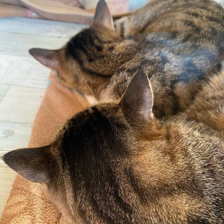 Cbae65dc 9882 4450 959d 3a0eb1890dec 1612420843916