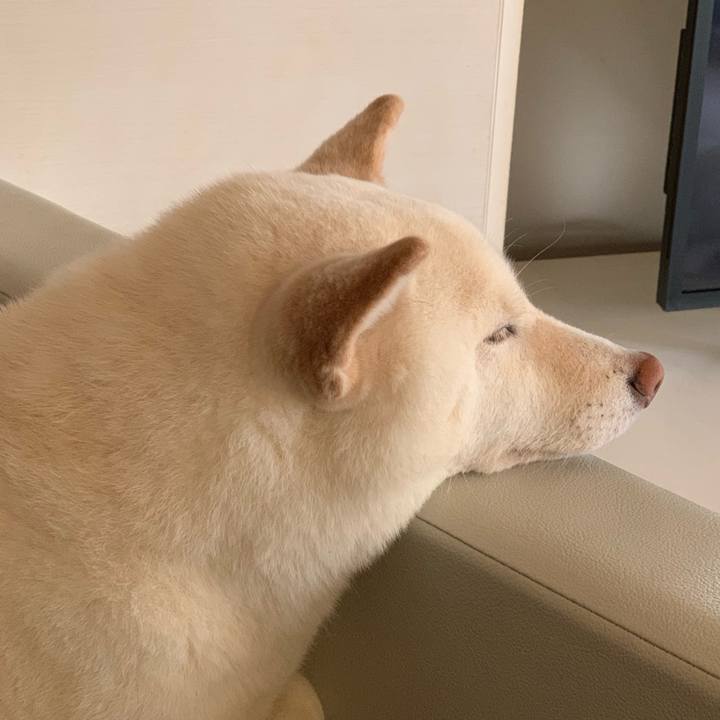 Cbaeadb4 796c 4715 bc65 82e19b9aca62 1553222478237