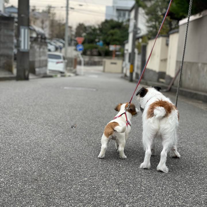 Cbaed3b1 2b4c 4b90 824e e558a3f500b1 1616829070491