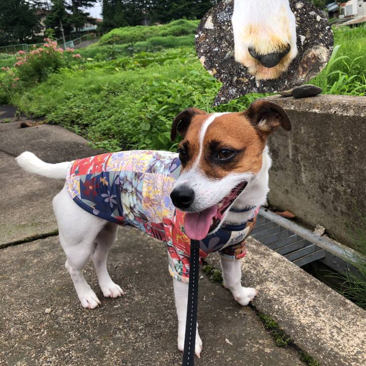 Cbaee723 dc7c 4f7f b7b0 dd218a5ed39a 1595486583281