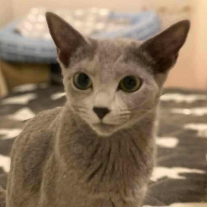 Cbaee923 d37b 4edc 8908 fe93b508d8f8 1607952748542