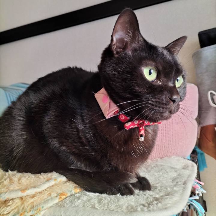 Cbaf2465 2b0a 4cae ae8a 1ec9e638015f 1642631986046