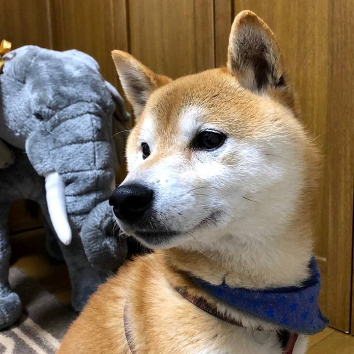 Cbaf4f35 d342 4801 a8ab 8a17383011e9 1558174818309